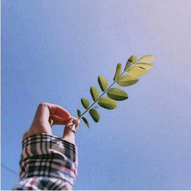 دانلود آهنگ نیکشم یار ای یار سیگار بهمن لری دانلود آهنگ نیکشم یار ای یار سیگار بهمن لری