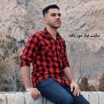 دانلود گلچین بهترین آهنگ های پیام عباسی