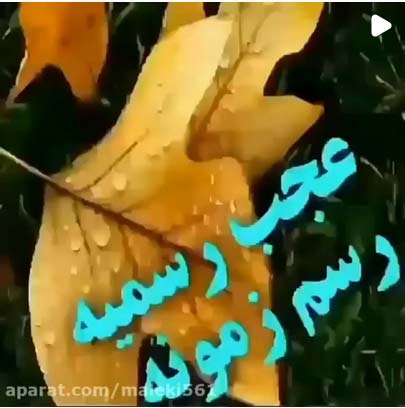 دانلود آهنگ عجب رسمیه رسم زمونه دانلود آهنگ عجب رسمیه رسم زمونه
