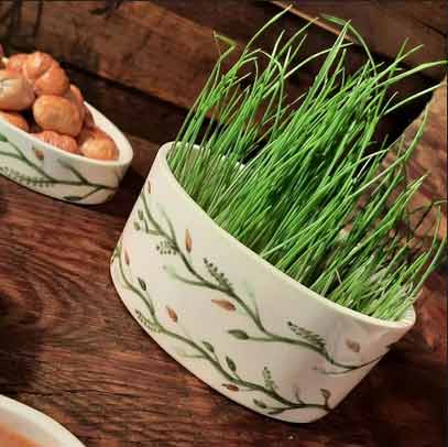دانلود آهنگ سبزه ای های های بانمکی جونم دانلود آهنگ سبزه ای های های بانمکی جونم
