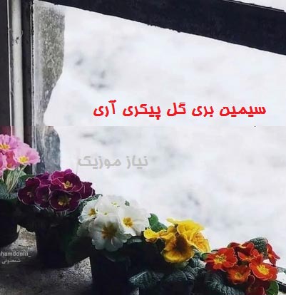 دانلود آهنگ سیمین بری گل پیکری آری