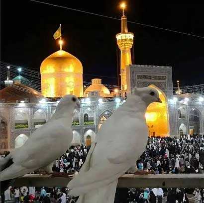 دانلود نوحه جلل خالق این همه عاشق