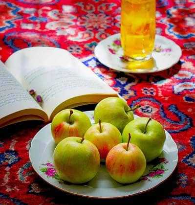 دانلود آهنگ آلمانی آتدیم خارا دانلود آهنگ آلمانی آتدیم خارا