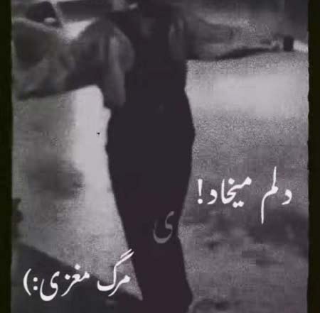 دانلود آهنگ دلم میخواد یه مرگ مغزی