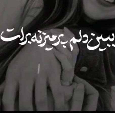 دانلود آهنگ ببین دلم پر میزنه برات