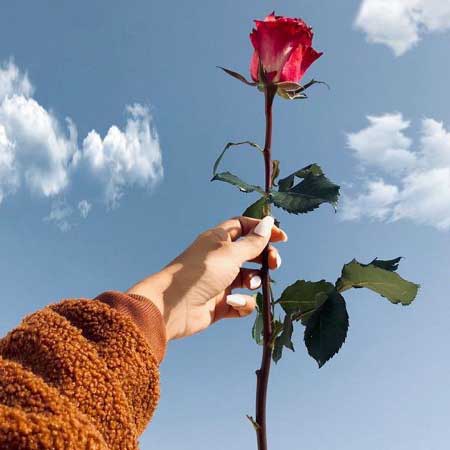دانلود آهنگ آی له دلی غریبم