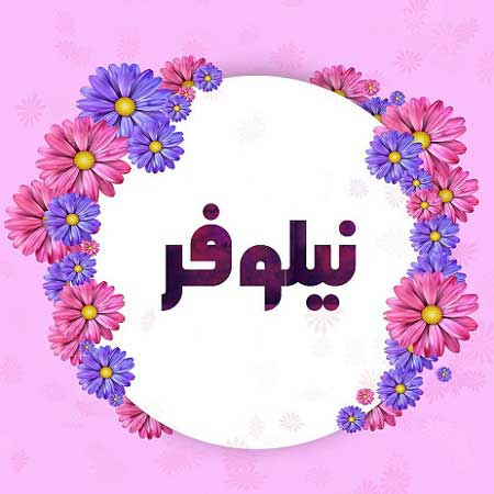 دانلود آهنگ ای دختر صحرا نیلوفر ریمیکس دانلود آهنگ ای دختر صحرا نیلوفر ریمیکس