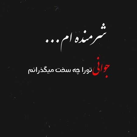 دانلود آهنگ علی جوادزاده شرمندتم جوانی