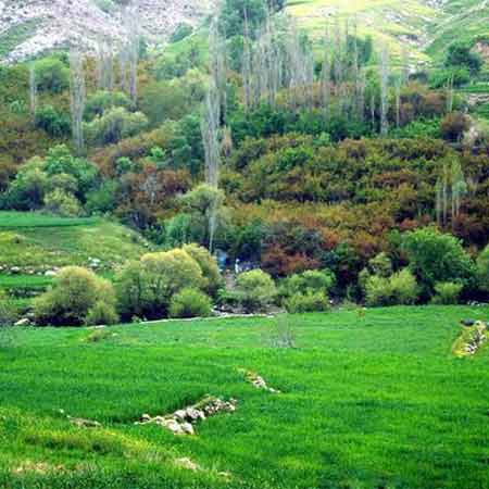 دانلود آهنگ مهران علیزاده باغملک دانلود آهنگ مهران علیزاده باغملک