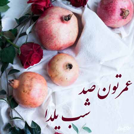 دانلود آهنگ آهای خانم یلدا ریمیکس بابک افرا دانلود آهنگ آهای خانم یلدا ریمیکس بابک افرا