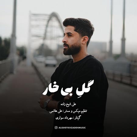دانلود آهنگ بختیاری گل بی خار علی شیخ زاده دانلود آهنگ بختیاری گل بی خار علی شیخ زاده