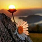 دانلود آهنگ نگین دنیا قشنگه قشنگیش رو ندیدم ترند اینستا