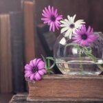دانلود آهنگ دیگه نمی بازم دلو دیگه نمیخوامت تورو ریمیکس اینستا
