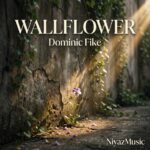 دانلود آهنگ Wallflower از Dominic Fike خارجی ترند جدید اینستاگرام