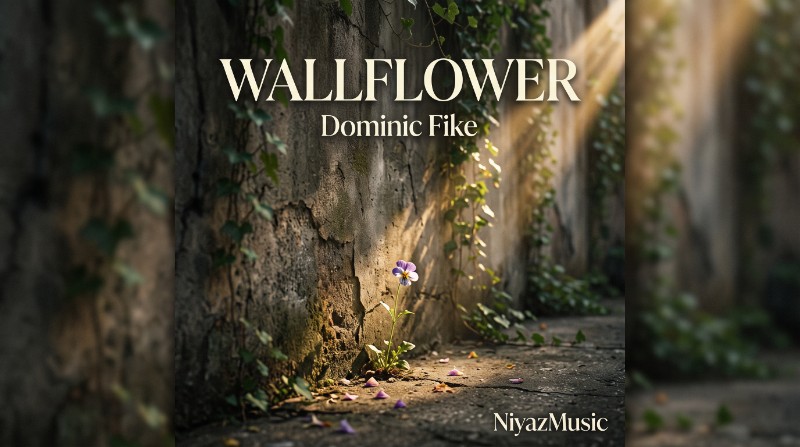 دانلود آهنگ Wallflower از Dominic Fike خارجی ترند جدید اینستاگرام