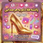 دانلود آهنگ پاشنه طلا دلم به هر صدایی عهدیه ریمیکس ترند اینستا