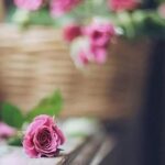 دانلود آهنگ سعدی میشم این باغو گلستون کنی واسم