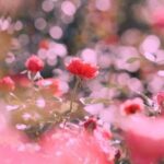 دانلود آهنگ جوینت چاقیدم رو جوینت داف زدم روی داف ریمیکس اینستا دانلود آهنگ جوینت چاقیدم رو جوینت داف زدم روی داف ریمیکس اینستا