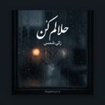 دانلود آهنگ زکی شمس به نام حلالم کن