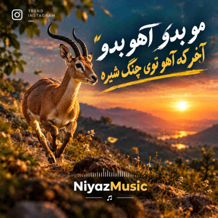 دانلود آهنگ مو بدو آهو بدو آخر که آهو توی چنگ شیره