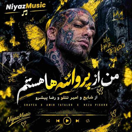 دانلود آهنگ من از پروانه ها هستم از شایع و امیر تتلو و رضا پیشرو دانلود آهنگ من از پروانه ها هستم از شایع و امیر تتلو و رضا پیشرو