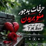 دانلود آهنگ حرفات بدجور منو بریدن از تی ام بکس